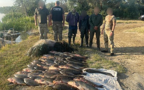 Півсотні коропів і сомів на майже 200 тисяч гривень: на Одещині затримали браконьєрів (фото) «фото»
