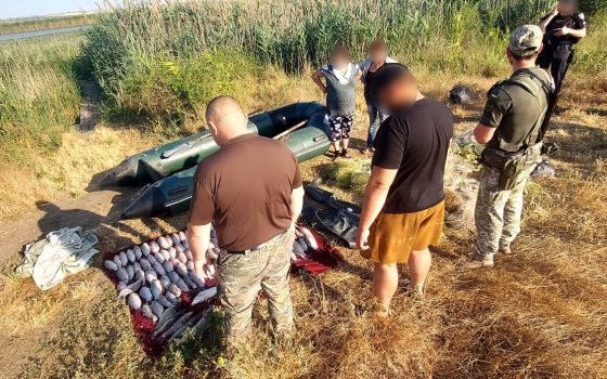 Карась та судак: на озері Сасик чоловік порибалив на 260 тисяч грн (фото) usionline.com Карась та судак: на озері Сасик чоловік порибалив на 260 тисяч грн (фото) «фото»
