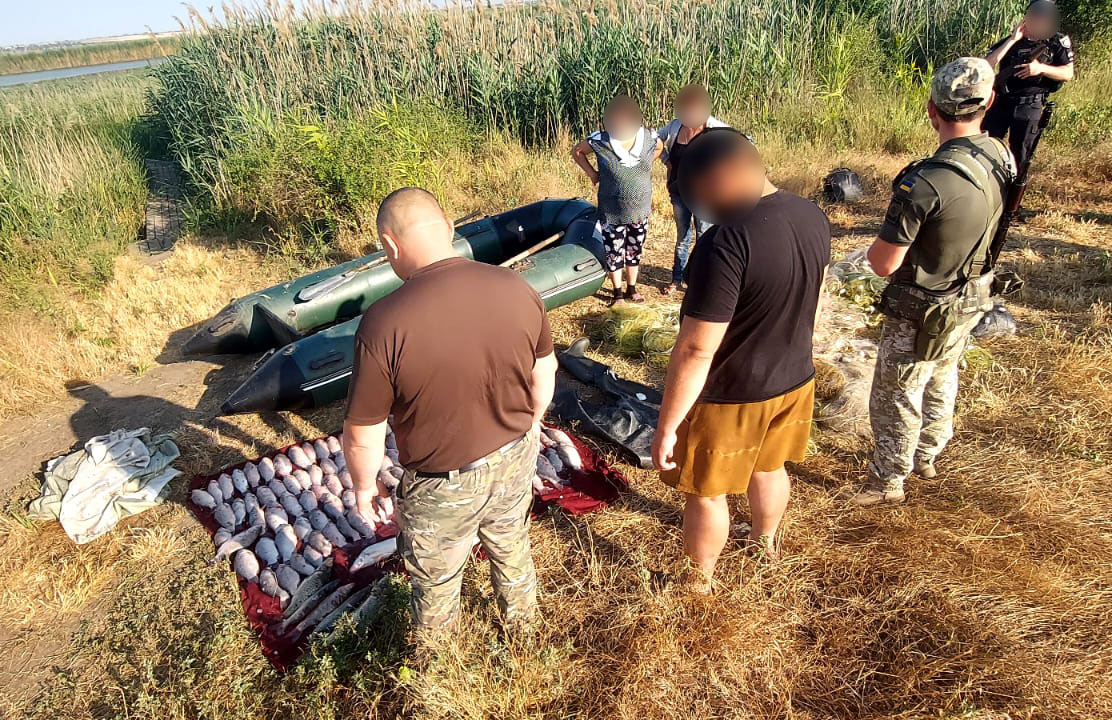 Карась та судак: на озері Сасик чоловік порибалив на 260 тисяч грн (фото) usionline.com Карась та судак: на озері Сасик чоловік порибалив на 260 тисяч грн (фото) «фото»