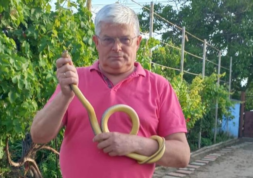 «В Одесі немає отруйних змій», – директор зоопарку закликає одеситів не хвилюватися (відео) usionline.com «В Одесі немає отруйних змій», – директор зоопарку закликає одеситів не хвилюватися (відео) «фото»