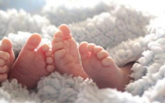 За кілька днів в Одеському перинатальному центрі народилися чотири двійні (відео) «фото»