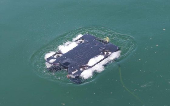 Портову інфраструктуру в Україні інспектуватимуть морські дрони «фото»