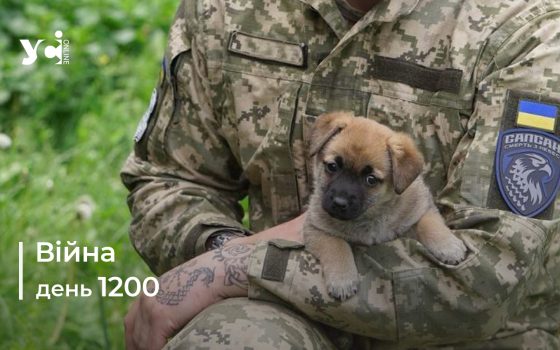 Війна. День 1200: коротко про головне (ОНОВЛЮЄТЬСЯ) usionline.com Війна. День 1200: коротко про головне (ОНОВЛЮЄТЬСЯ) «фото»