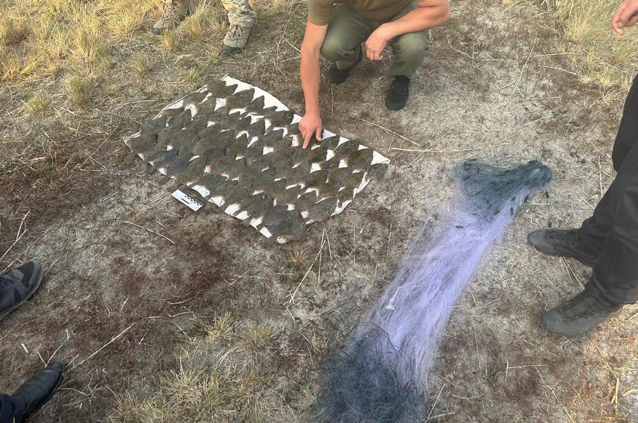 На Одещині затримали злісних браконьєрів за лов камбали на понад 3 мільйони (фото) usionline.com На Одещині затримали злісних браконьєрів за лов камбали на понад 3 мільйони (фото) «фото»
