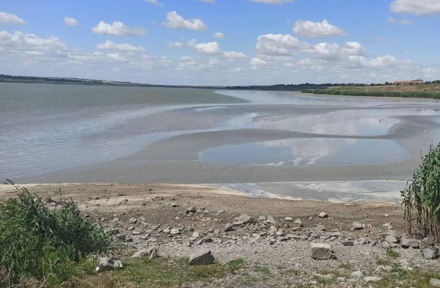 На Одещині пересихає озеро Катлабух: нині водойма обміліла майже наполовину usionline.com На Одещині пересихає озеро Катлабух: нині водойма обміліла майже наполовину «фото»