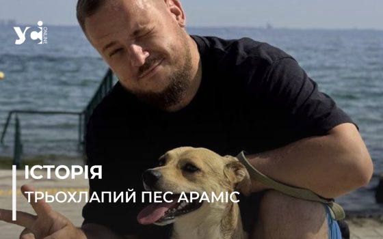 Трьохлапий пес Араміс став амбасадором одеського інклюзивного пляжу: історія про другий шанс і справжню любов (фото) «фото»