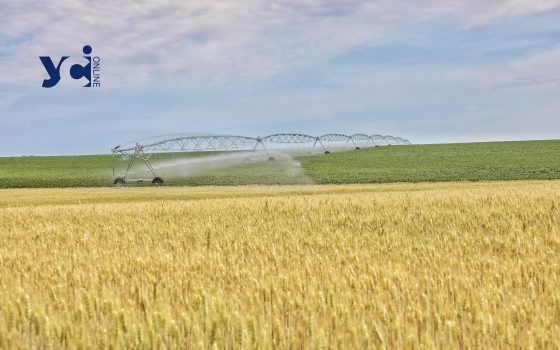 Українські фермери отримають понад мільярд гривень держпідтримки «фото»