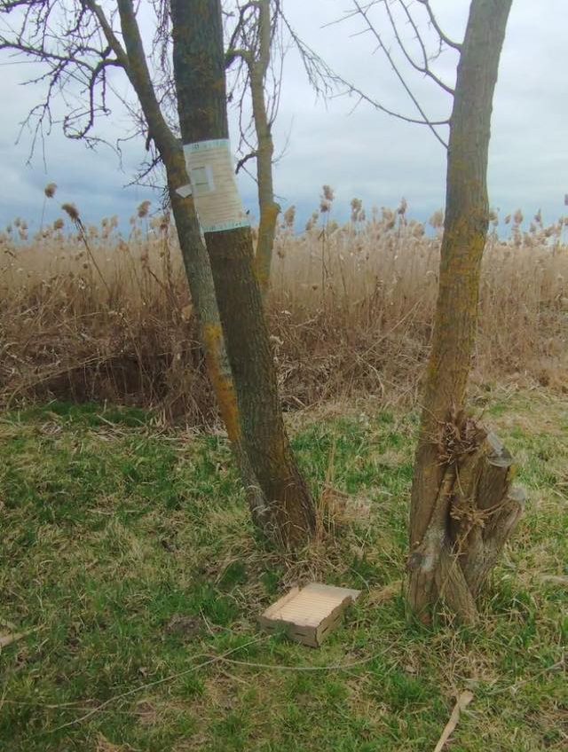 В Нижньодністровському нацпарку невідомі знищили кажанятник (фото) usionline.com В Нижньодністровському нацпарку невідомі знищили кажанятник (фото) «фото»
