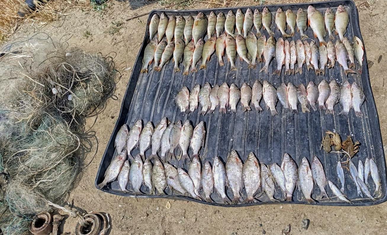 Браконьєр на Кагулі: виловив 95 рибин і раків на понад 168 тисяч гривень збитків «фото»