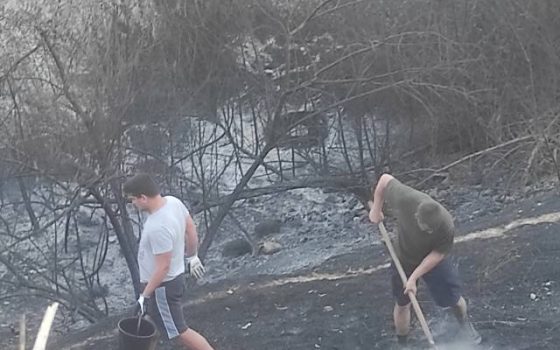 Під Ізмаїлом у притулку для тварин ледь не загинули 100 котів (фото, відео) usionline.com Під Ізмаїлом у притулку для тварин ледь не загинули 100 котів (фото, відео) «фото»