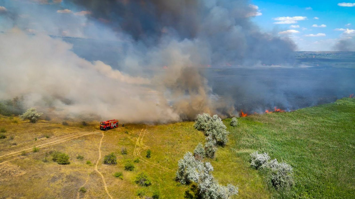 Дві масштабні пожежі на Одещині: вогонь ледь не дістався житлових будинків (фото) usionline.com Дві масштабні пожежі на Одещині: вогонь ледь не дістався житлових будинків (фото) «фото»