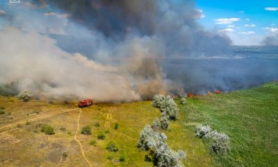Дві масштабні пожежі на Одещині: вогонь ледь не дістався житлових будинків (фото) usionline.com Дві масштабні пожежі на Одещині: вогонь ледь не дістався житлових будинків (фото) «фото»