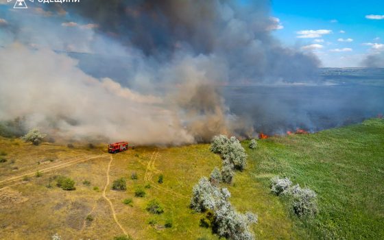 Дві масштабні пожежі на Одещині: вогонь ледь не дістався житлових будинків (фото) «фото»