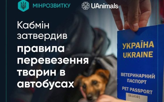 В Україні затвердили правила перевезення тварин в автобусах «фото»