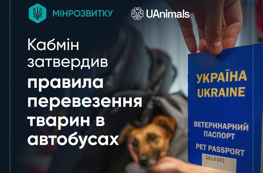 В Україні затвердили правила перевезення тварин в автобусах usionline.com В Україні затвердили правила перевезення тварин в автобусах «фото»