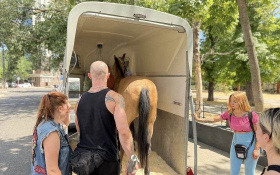 Вісім коней постраждали внаслідок обстрілу в Одесі: тварин вже релокують до іншого клубу (фото) usionline.com Вісім коней постраждали внаслідок обстрілу в Одесі: тварин вже релокують до іншого клубу (фото) «фото»