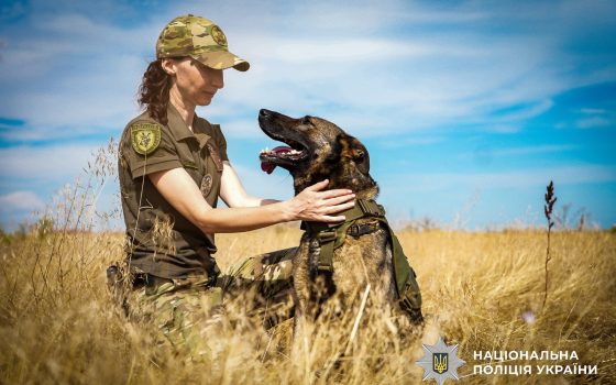 На Одещині службова вівчарка допомогла врятувати пенсіонера, який зник безвісти (фото) «фото»