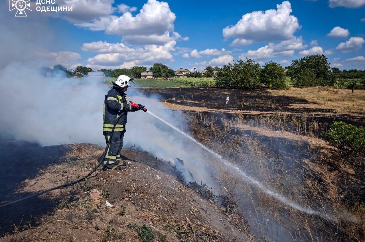 Одещина у вогні: за тиждень вигоріло 200 гектарів землі (фото) «фото»