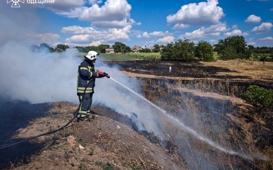 Одещина у вогні: за тиждень вигоріло 200 гектарів землі (фото) «фото»