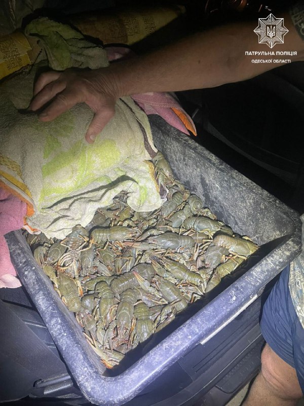 На Одещині затримали чоловіка з майже 24 кг незаконно виловлених раків usionline.com На Одещині затримали чоловіка з майже 24 кг незаконно виловлених раків «фото»