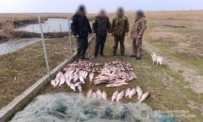 Пів мільйона збитків за незаконну риболовлю: суд покарав жителя Одещини (фото) «фото»