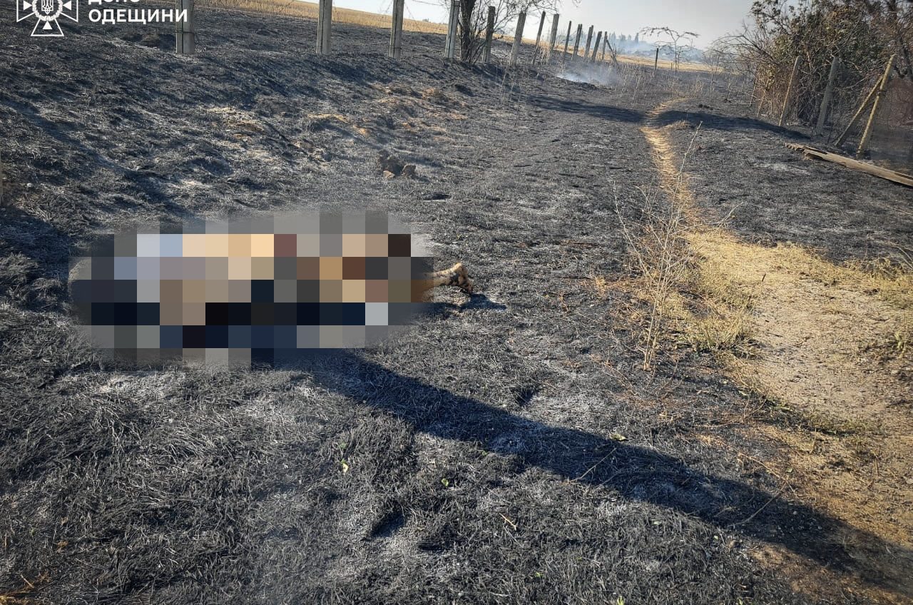 На Одещині, намагаючись самотужки загасити пожежу, загинула літня жінка (фото) «фото»