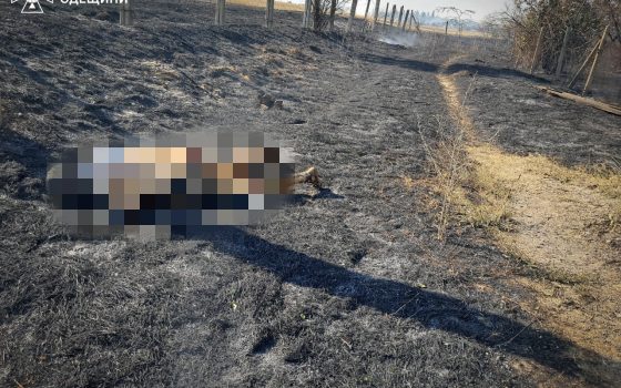 На Одещині, намагаючись самотужки загасити пожежу, загинула літня жінка (фото) «фото»