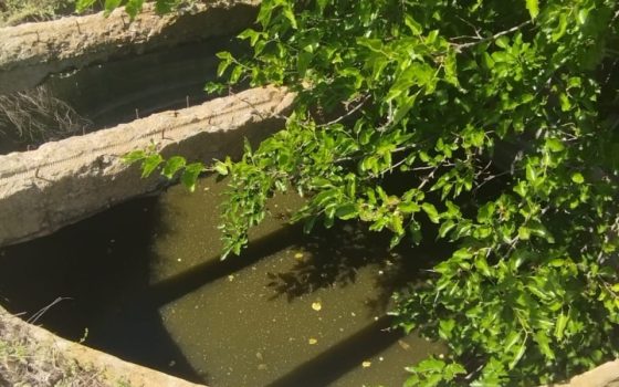 Екологи зафіксували скид забруднених стічних вод у Південний Буг (фото) usionline.com Екологи зафіксували скид забруднених стічних вод у Південний Буг (фото) «фото»