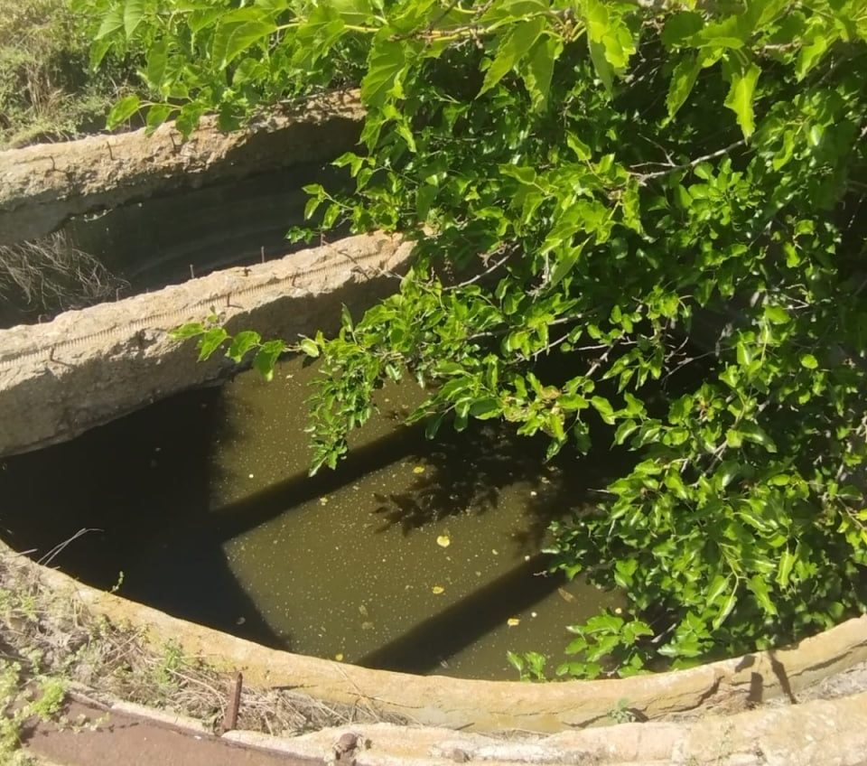 Екологи зафіксували скид забруднених стічних вод у Південний Буг (фото) usionline.com Екологи зафіксували скид забруднених стічних вод у Південний Буг (фото) «фото»