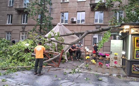 В Одесі сильний вітер повалив 11 дерев і великих гілок (фото) «фото»
