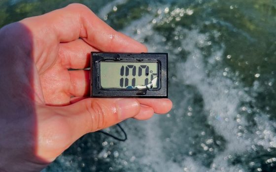 Апвелінг – причина крижаної морської води біля одеського узбережжя «фото»