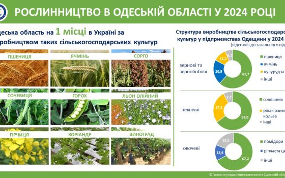 Одещина лідирує в Україні за врожаєм пшениці, ячменю, сорго та винограду «фото»