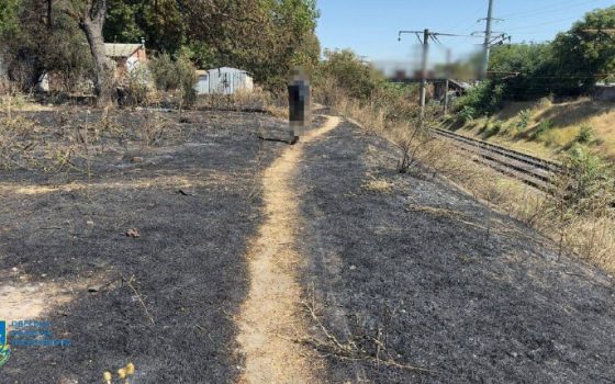 На Одещині судитимуть жінку за підпал сухостою, який знищив понад 30 дерев «фото»
