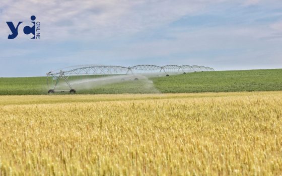 Український агроекспорт у липні зменшився через спад поставок зернових «фото»