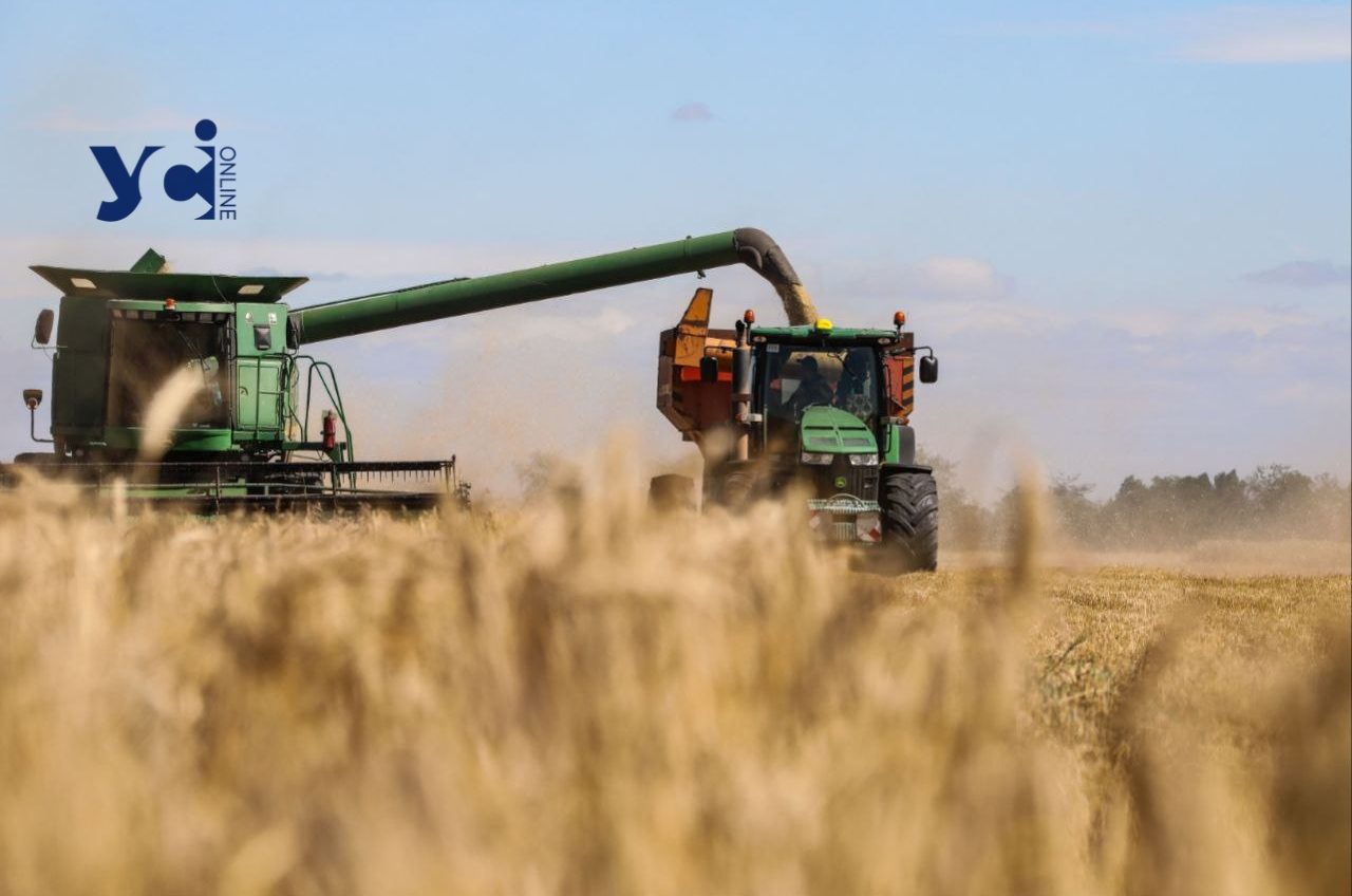 Жнивна кампанія на Півдні впливає на ціни: цьогоріч планують зібрати 22-22,5 млн тонн пшениці (прогнози) usionline.com Жнивна кампанія на Півдні впливає на ціни: цьогоріч планують зібрати 22-22,5 млн тонн пшениці (прогнози) «фото»