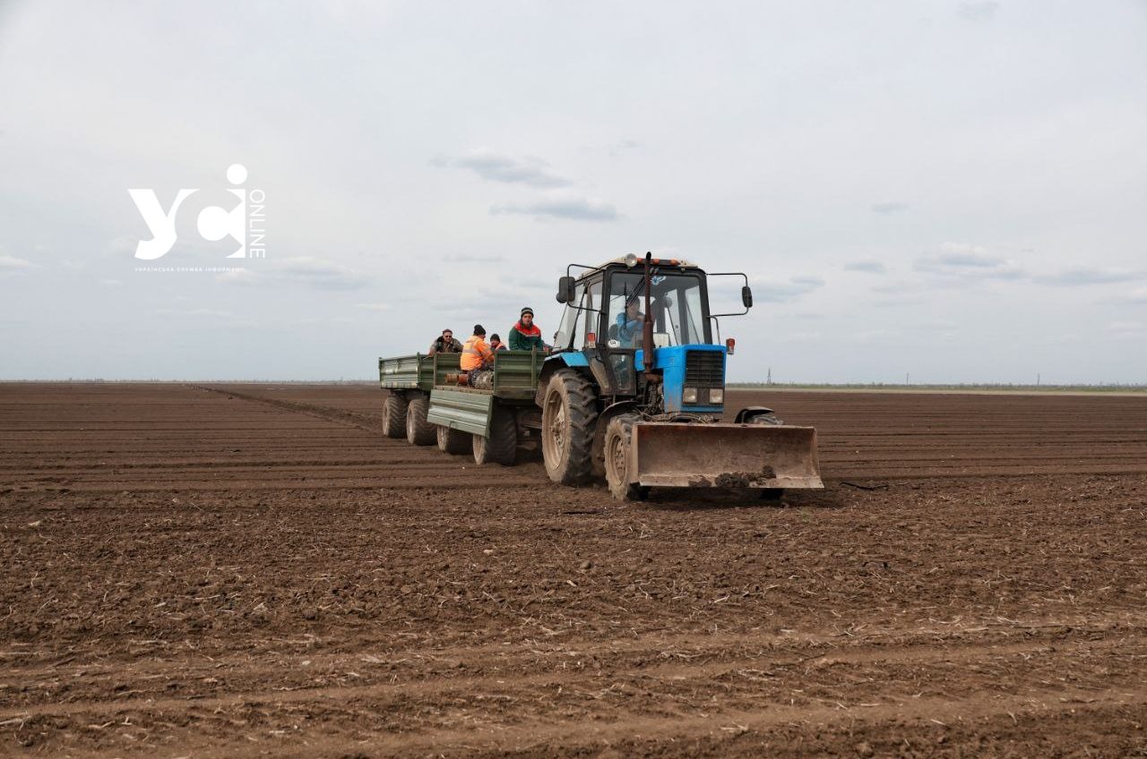 Водіям вантажівок та автобусів дозволили працювати на тракторах без додаткових прав usionline.com Водіям вантажівок та автобусів дозволили працювати на тракторах без додаткових прав «фото»