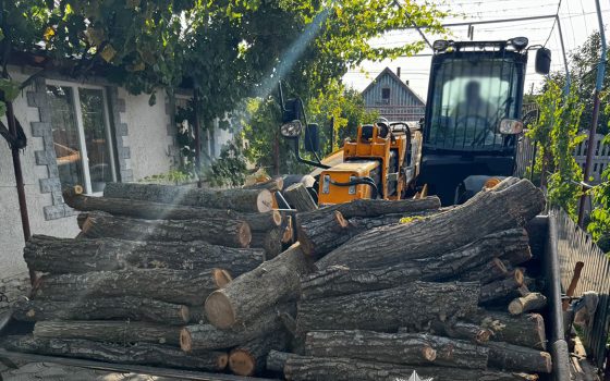 На Одещині незаконно вирубали понад 80 дерев: лісорубам загрожує до 7 років тюрми (фото) usionline.com На Одещині незаконно вирубали понад 80 дерев: лісорубам загрожує до 7 років тюрми (фото) «фото»