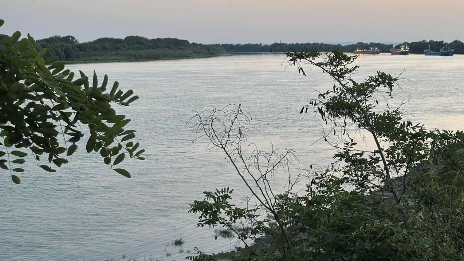 Рівень води в Дунаї  на Ізмаїльщині трохи піднявся «фото»