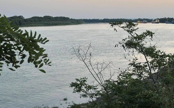 Рівень води в Дунаї  на Ізмаїльщині трохи піднявся «фото»