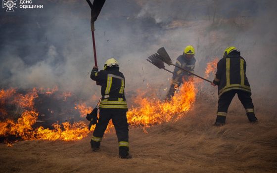 Лише за тиждень вогонь знищив на Одещині 453 гектари землі (фото) «фото»