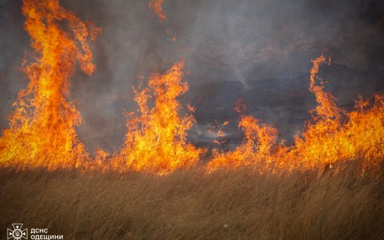 У Пересипському районі Одеси вигоріло 9 гектарів очерету (відео) «фото»