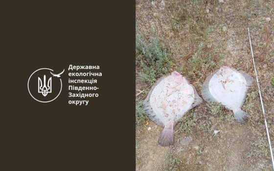 На Одещині браконьєр спіймав двох коропів і отримав вирок usionline.com На Одещині браконьєр спіймав двох коропів і отримав вирок «фото»