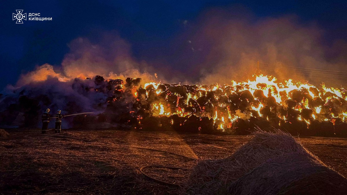 «Згорів сарай – гори і хата!». На Одещині жінка з помсти підпалила 130 тюків соломи «фото»