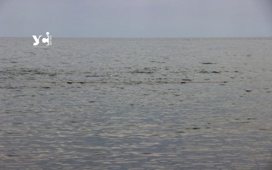 Море у Крижанівці «почорніло» – екологи перевірили якість води (відео) usionline.com Море у Крижанівці «почорніло» – екологи перевірили якість води (відео) «фото»