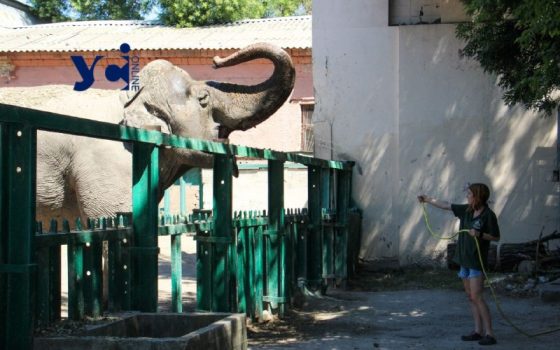 Одеський зоопарк працює за новим графіком «фото»