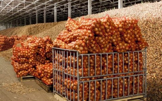В Україні виділятимуть кошти на будівництво овочесховищ: 200 млн грн щороку «фото»