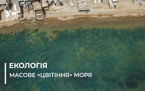 У морі біля Одеси виявлено перевищення шкідливих речовин – Держекоінспекція «фото»