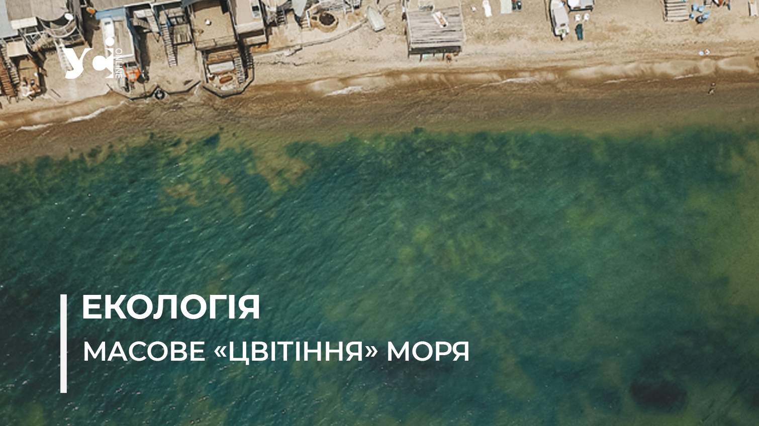 У морі біля Одеси виявлено перевищення шкідливих речовин – Держекоінспекція usionline.com У морі біля Одеси виявлено перевищення шкідливих речовин – Держекоінспекція «фото»