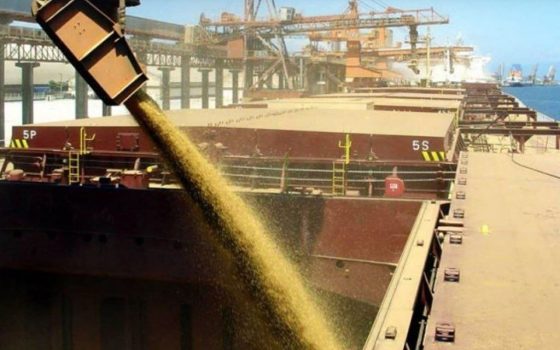Росія продовжує красти українське зерно, рятуючись від власної продовольчої кризи «фото»