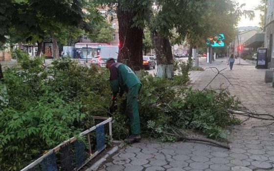 В Одесі повалило понад 70 дерев через шторм (фото) «фото»